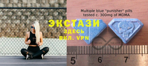 хмурый Няндома