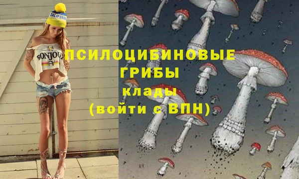 а пвп мука Арсеньев