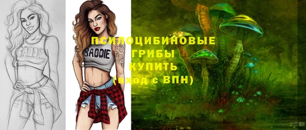 MDMA Аркадак