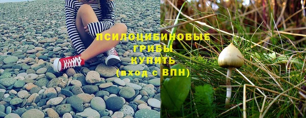 а пвп мука Арсеньев