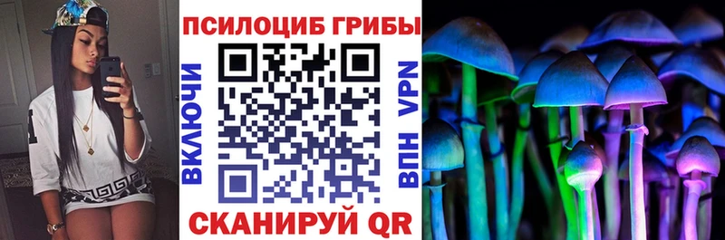 Псилоцибиновые грибы прущие грибы  Поронайск 